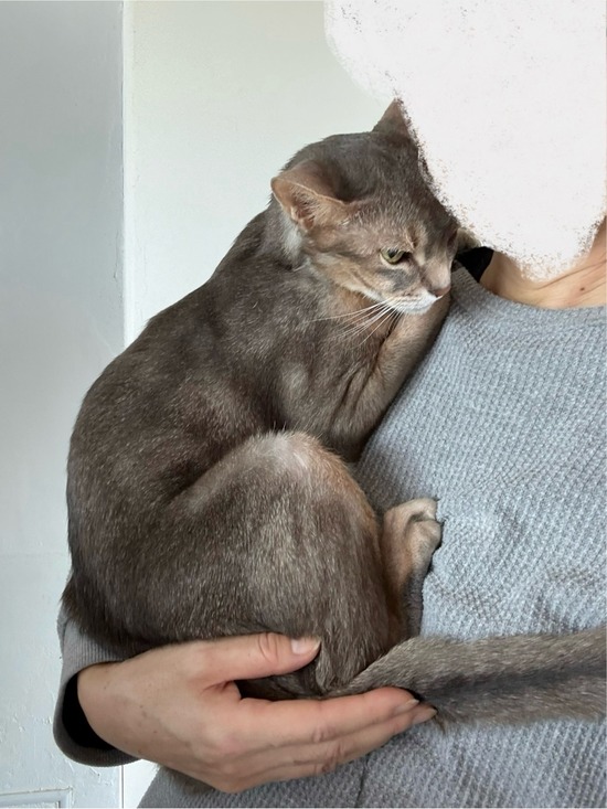 FullSizeRender