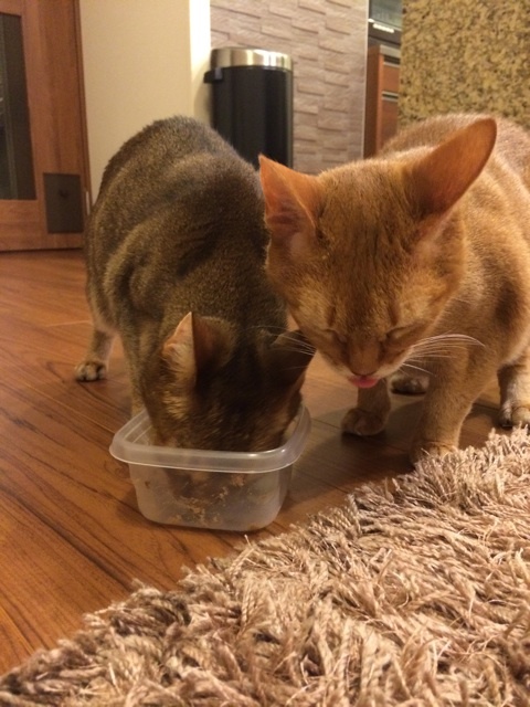 {A7A2D607-1ED6-4AAA-BE1E-36119435A220:01}