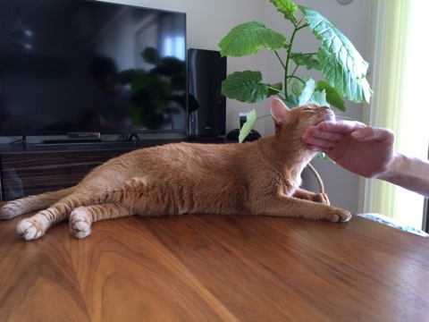 {8F96856F-5B7F-4013-9745-57EABA6BAD7B:01}