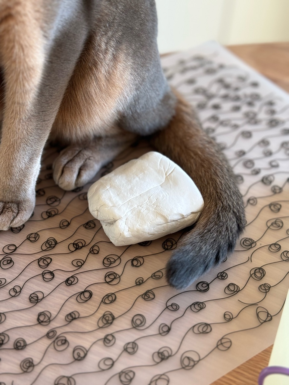 石塑粘土でオブジェを作ってみる① : おうちごはんとおかしとねこ