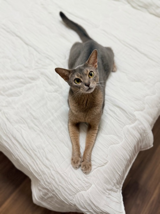 FullSizeRender