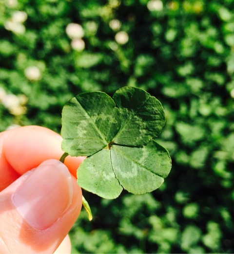 {A6368DF1-8130-4563-8D21-C4DD20800322:01}