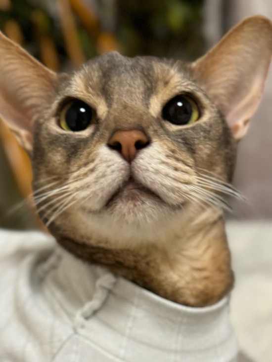 FullSizeRender