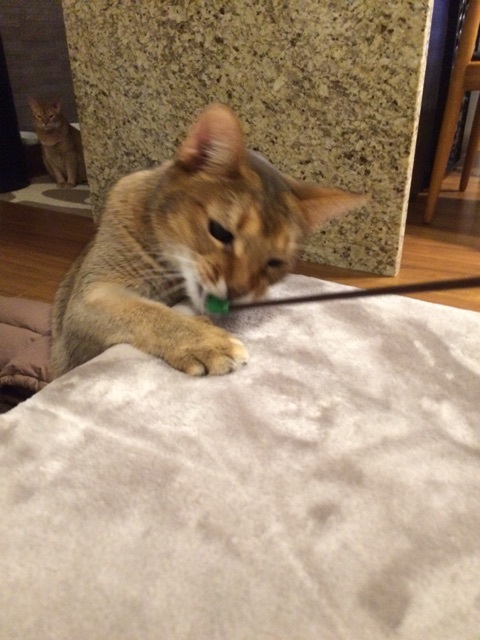 {5B1D4597-0966-4DFE-A335-BE805C03C2CC:01}