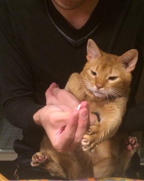 {D9A0177C-EEC3-4A73-9E8A-8DD8D8E59270:01}