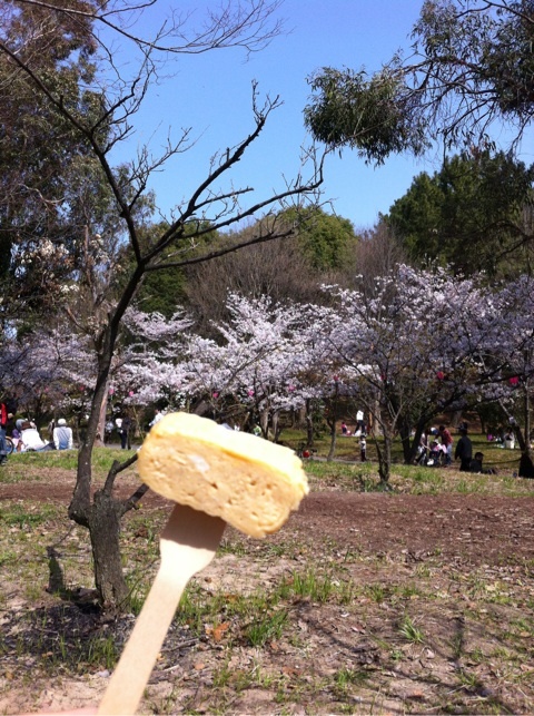photo:04