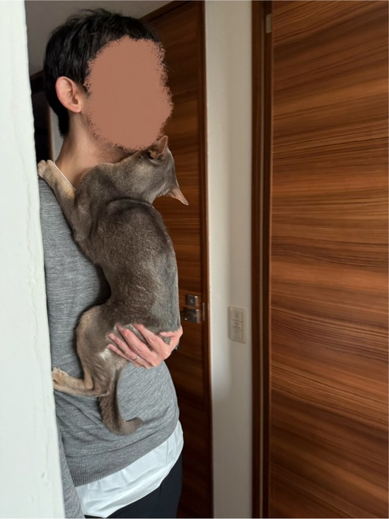 FullSizeRender