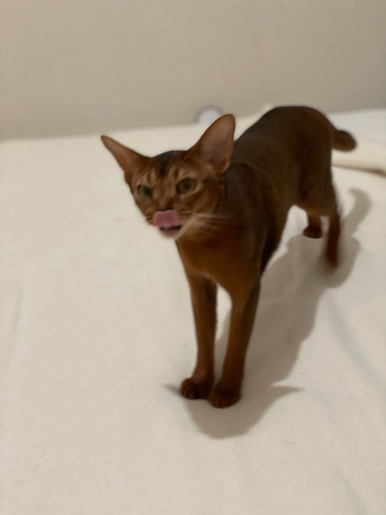 FullSizeRender