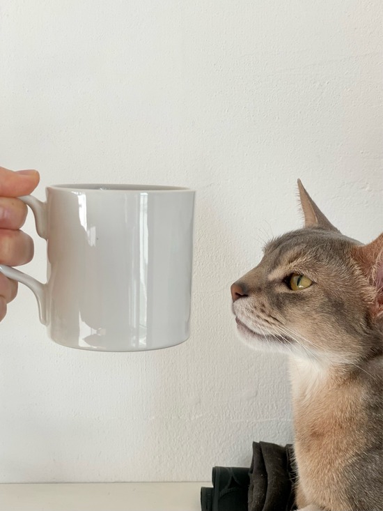 FullSizeRender