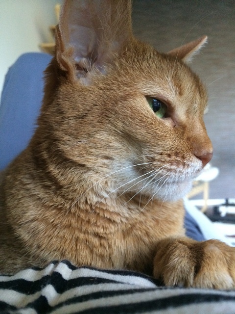 {1A3905C4-AA7A-4D44-9C8D-BEB9070BB9D9:01}