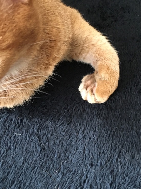 2641161A-07A2-4BC4-8FC4-7887510E8D38