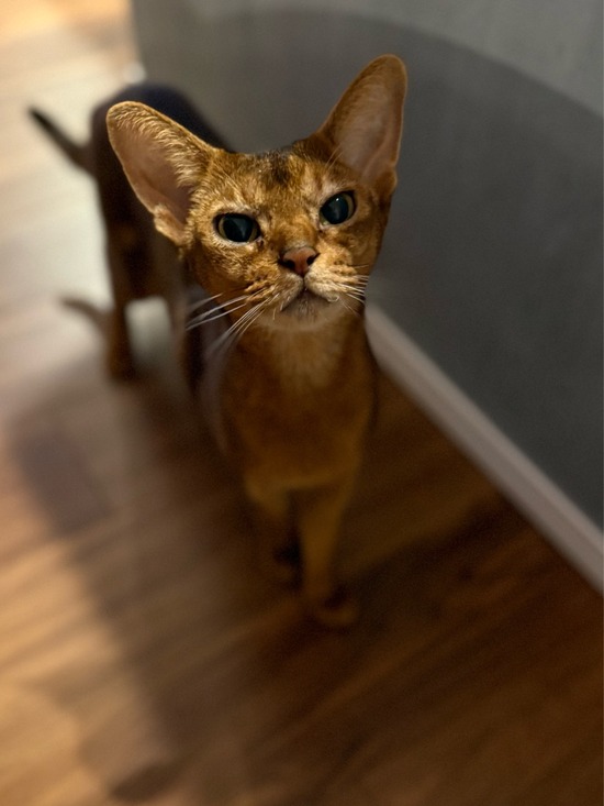 FullSizeRender