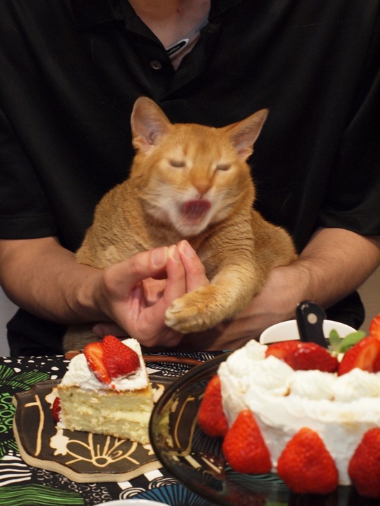 088BB742-D12B-47E0-904D-E7B15956643B