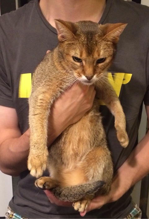 {A1673745-C338-4089-B8A7-D26353500F3E:01}