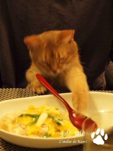 joli!joli!のおうちごはんとおかしとねこ♪