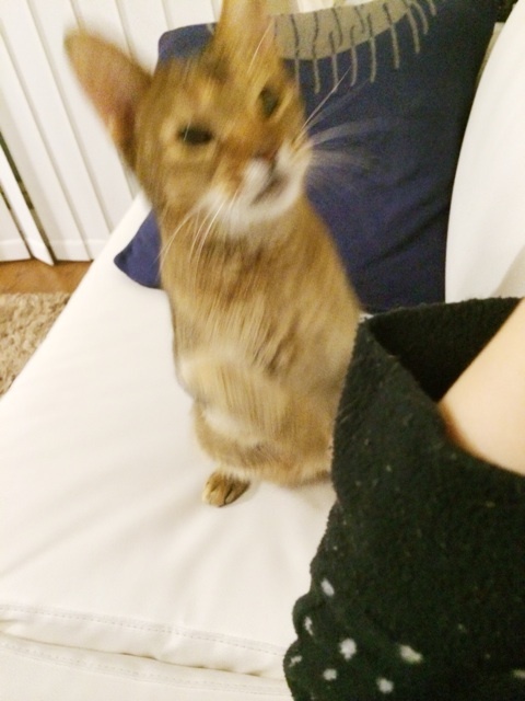 {E4748E86-F544-4696-AC8C-20198184882C:01}