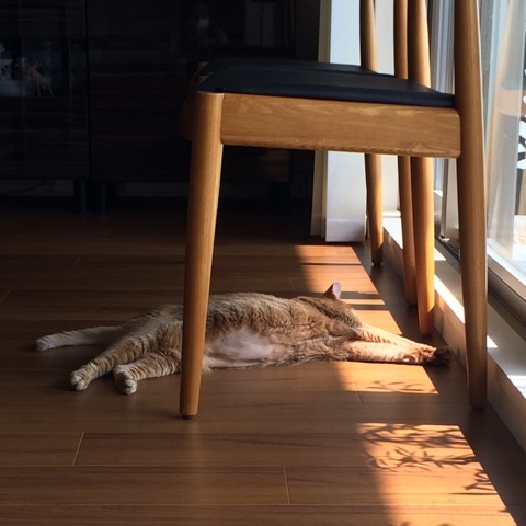 {6313C127-26EA-49DE-9C39-4BBC8BBEC376:01}