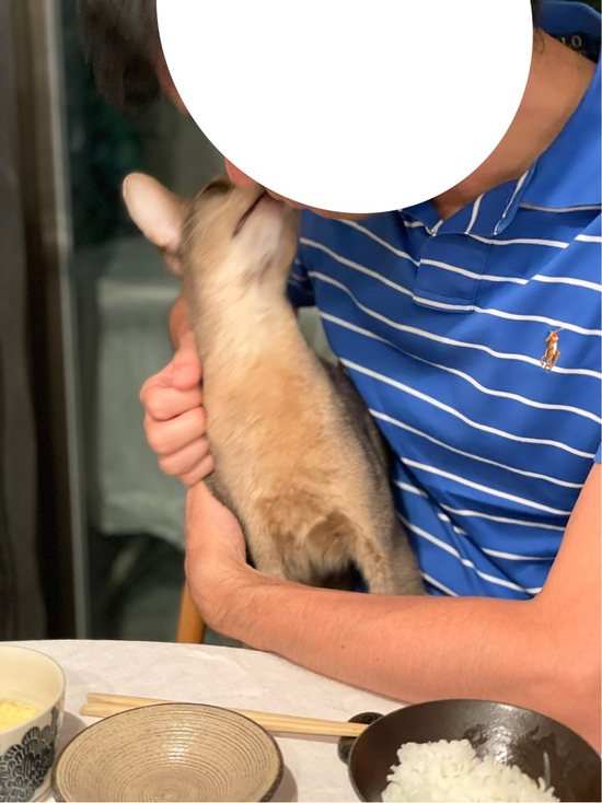 FullSizeRender