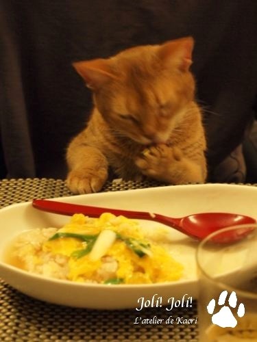 joli!joli!のおうちごはんとおかしとねこ♪