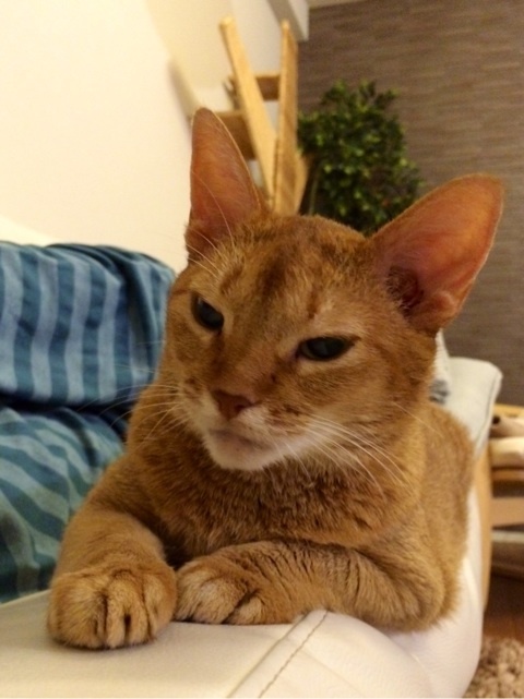 {03B9C20D-A8C0-40A6-8EC4-6240E36CB14E:01}