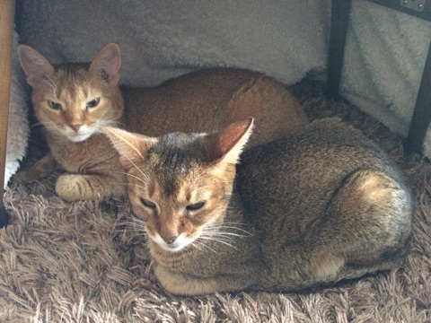 {7844206D-05D7-45C4-8CC0-E2BA07F65109:01}