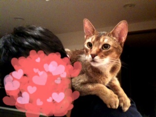 {9E49A1B7-EB47-488A-B01D-4653C8AAF098:01}