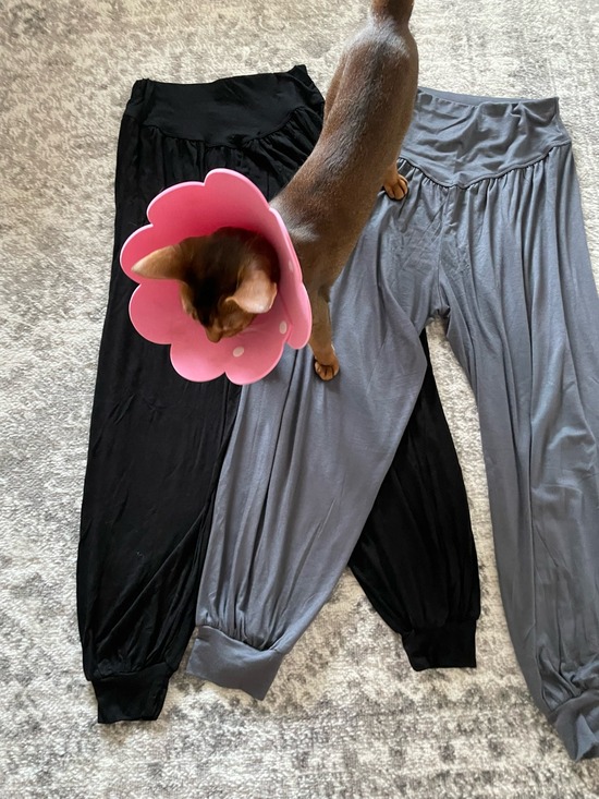 FullSizeRender