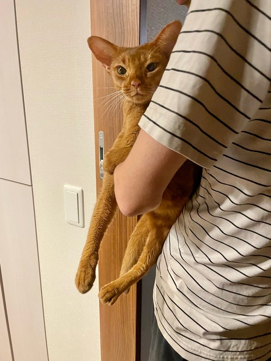 FullSizeRender