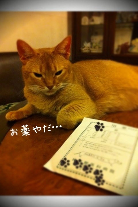 photo:01