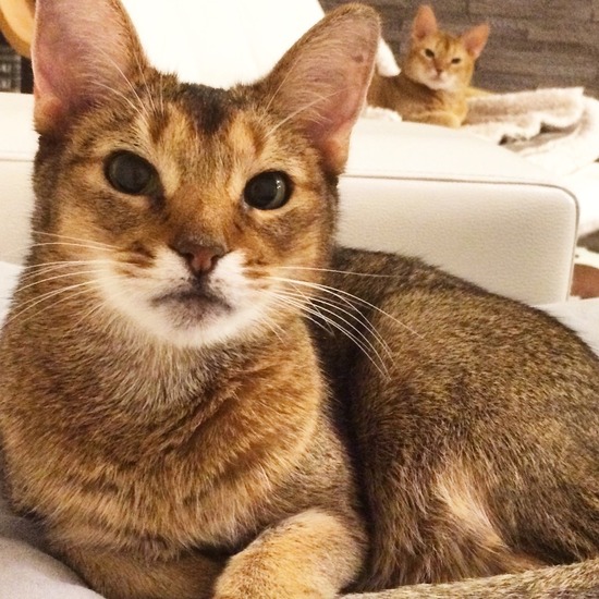 265B7603-13FF-42DB-9F48-D9CFA596708D