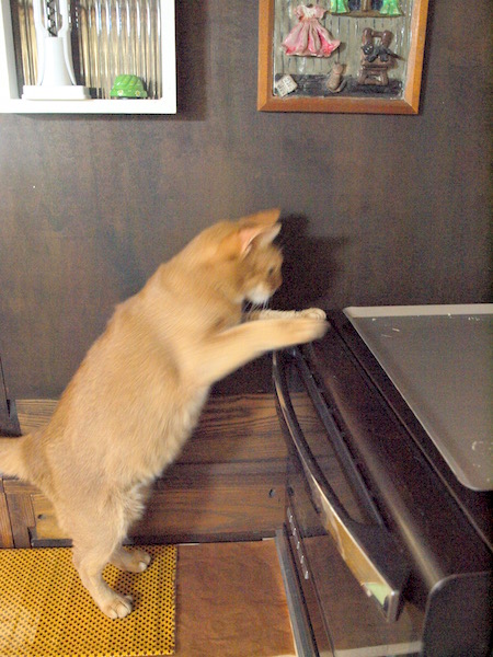 PB080531