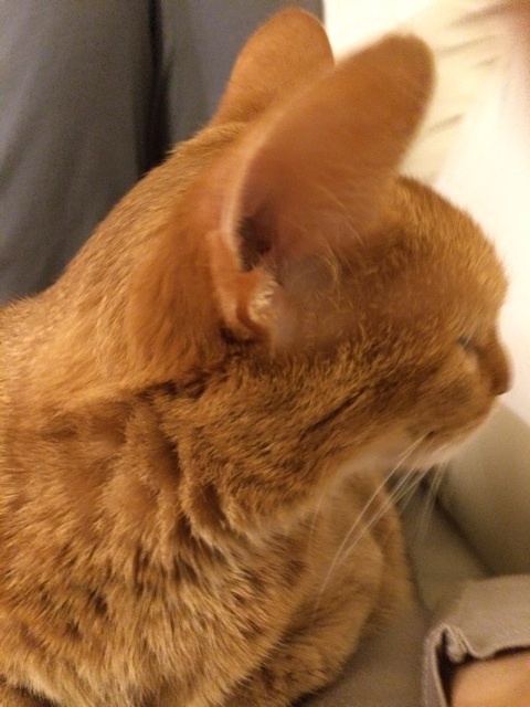 {28700011-4BF0-401B-B54F-2FA60D707B5D:01}