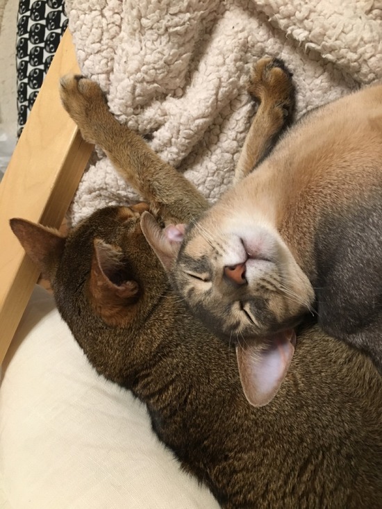 3CD45590-B490-44F3-AF50-52908900147D