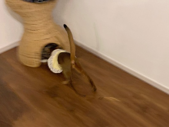 FullSizeRender