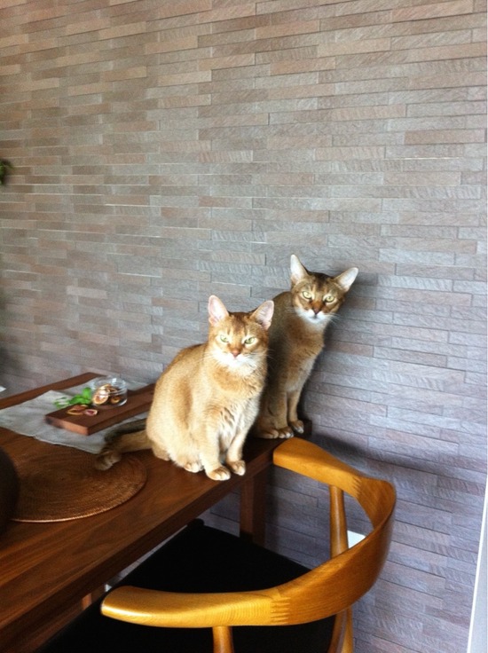 0632C5C8-39FC-402C-9C0B-536E45A97A8A