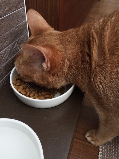 {EA612097-616B-4230-9DFB-1B6D3506E583:01}