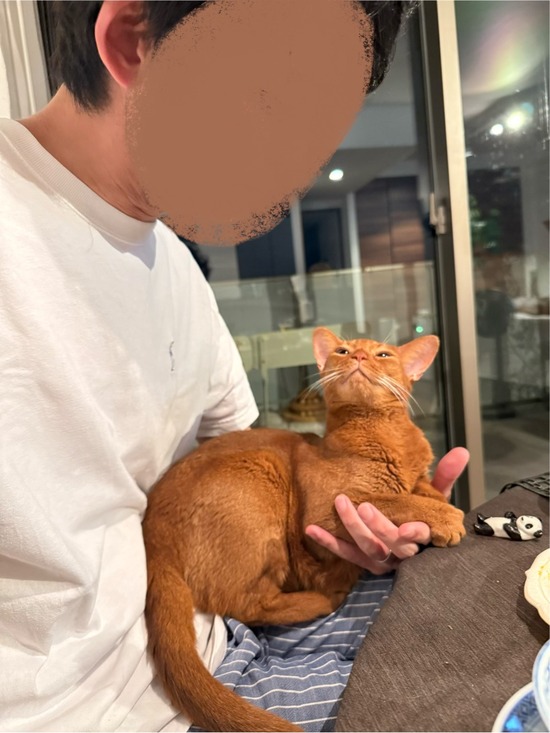 FullSizeRender