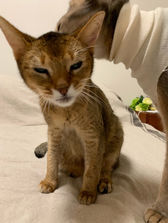 IMG_1339