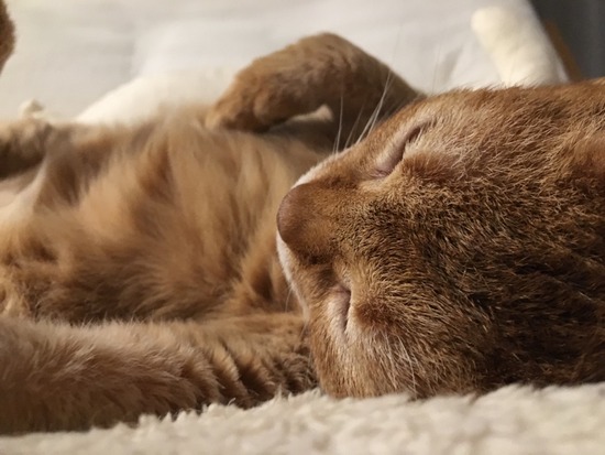 D909DE3F-5214-4AA3-96D9-8209A676F5BA