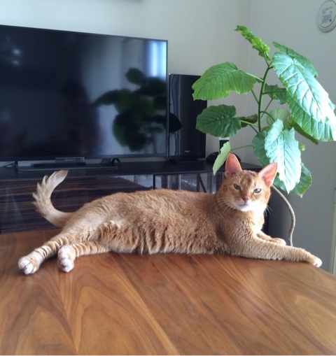 {0BA8A6CB-8145-42FB-B4C1-E812FC9EF040:01}