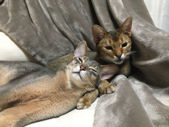 3C284D10-4E7F-4E25-BC9C-520782EF060E