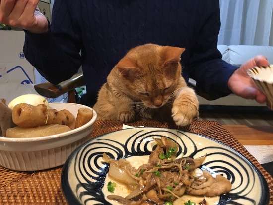 579EACC1-22A1-4487-AE21-9FC3E069F8F7