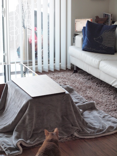 猫こたつ」を作ってみた♪ : おうちごはんとおかしとねこ Powered by
