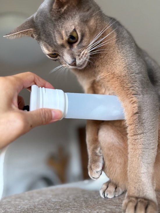 FullSizeRender