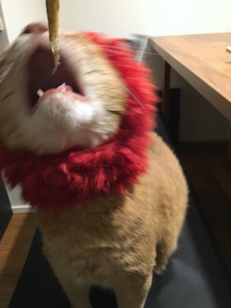 19BF8677-5B36-484A-BD0F-2C3195B7F424