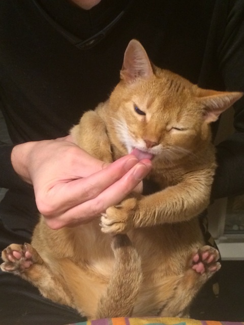 {9F1A29EA-D79F-44BB-8EF4-D266C03B518E:01}