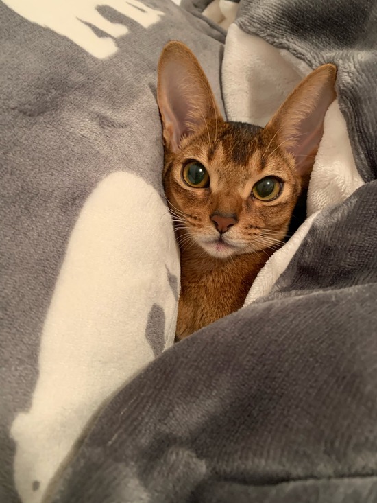 2E461394-843D-4121-ABB4-1C2F09B266E7