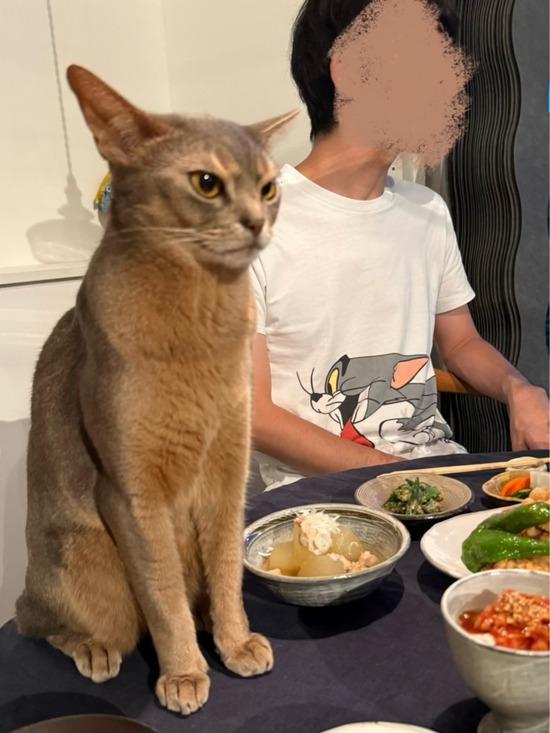 FullSizeRender