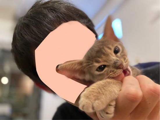 FullSizeRender