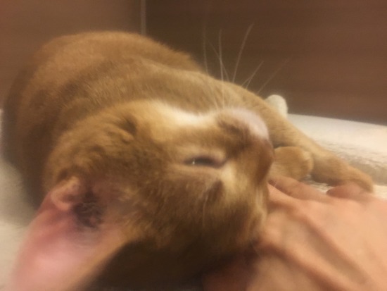 9DA3B079-BB89-45AB-9056-C3047884C8DF